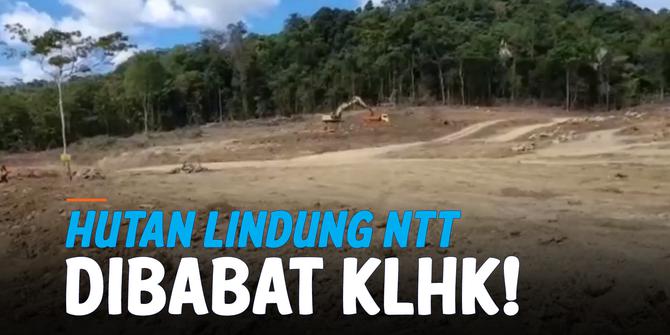 VIDEO: KLHK Babat Hutan Lindung Mabar, Potensi Rusak Sumber Air Labuan Bajo