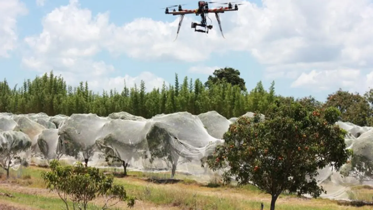 Petani Australia Kembangkan Drone Pembasmi Hama