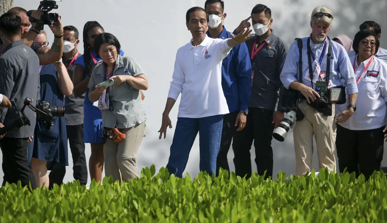 Presiden Indonesia Joko Widodo menunjukkan area pembibitan mangrove kepada wartawan sebagai bagian dari rangkaian agenda pertemuan KTT G20 di Hutan Mangrove Taman Hutan Raya Ngurah Rai, Denpasar, Bali, Indonesia, Rabu (16/11/2022). Agenda di Taman Hutan Raya Mangrove Ngurah Rai Bali merupakan bagian dari tema yang dipilih Presiden Joko Widodo dalam pelaksanaan KTT soal menangani krisis iklim. (Bay Ismoyo/Pool Photo via AP)