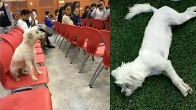 Photo copyright Shanghaiist.com