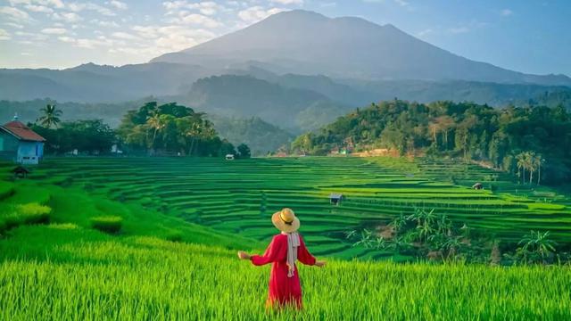 Pemandangan Gunung Ceremai dari jauh dengan hamparan sawah di desa terdekatnya