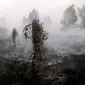Helikopter tembak air ke lahan gambut terbakar (Liputan6.com / M.Syukur)