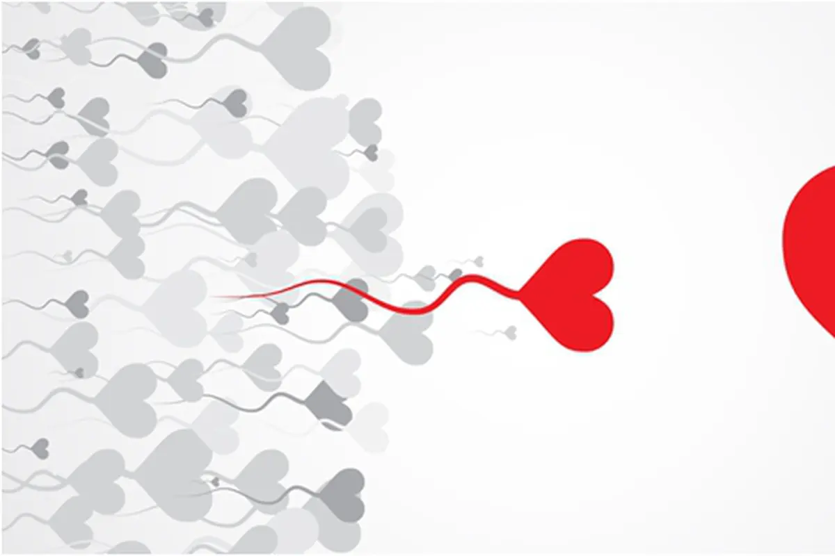 Courtesy ShutterStock.com