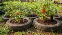 7 Desain Kebun Sayur Pakai Ban Motor Bekas di Pekarangan Rumah yang Praktis dan Estetis