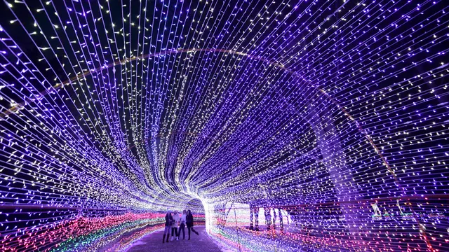 Keindahan Seni Instalasi Cahaya yang Menerangi Taman Belarus