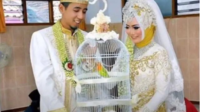 6 Mahar Nikah Pecinta Binatang Ini Unik, Ikan Cupang Hingga Burung Lovebird