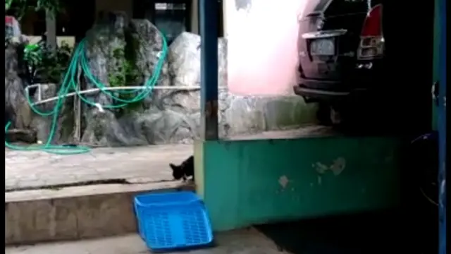 Klinik Tutup