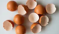 5 Cara Membuat Pupuk Cangkang Telur untuk Cabai agar Tidak Mudah Layu