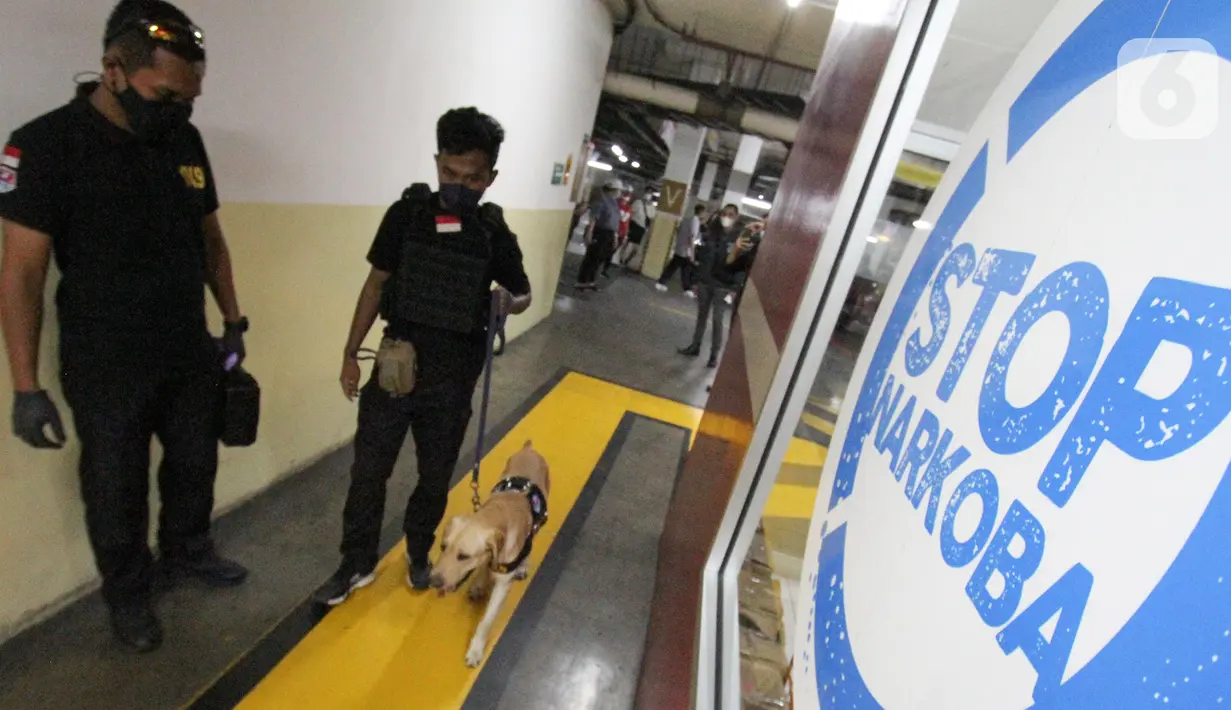 Tim Operasi K9 Badan Narkotika Nasional (BNN) bersama anjing pelacak menyusuri sejumlah titik di lingkungan Apartemen Gading Mediterania Residence (GMR) Jakarta, Sabtu (7/8/2021). Penyusuran dilakukan guna menekan angka perederan narkoba di Indonesia. (Liputan6.com/Fery Pradolo)