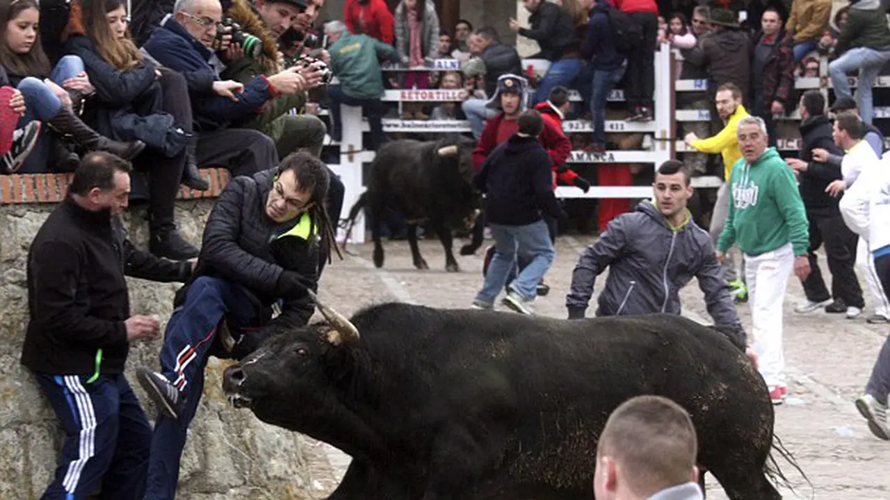 Ditanduk Banteng, Remaja AS di Spanyol Luka Sobek 40 Cm