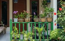 Budget Cuma 5 Juta, Ini 9 Ide Teras Depan Rumah Sempit untuk Tampilan Minimalis yang Memuaskan