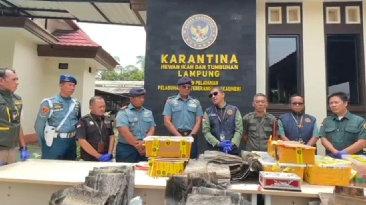 Karantina Lampung Gagalkan Penyelundupan Ratusan Satwa Ilegal di Pelabuhan Bakauheni