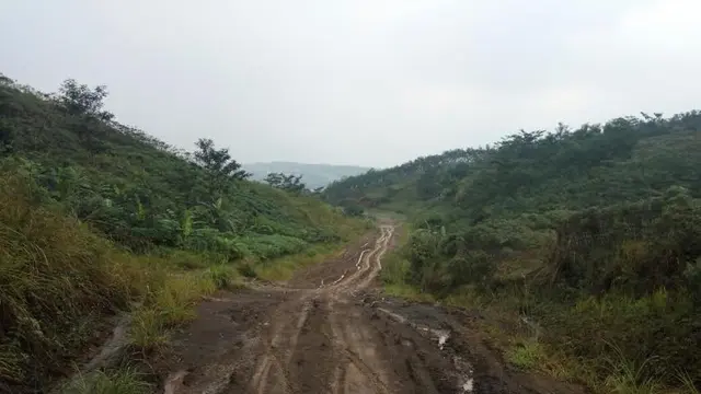 Proyek Jalur Puncak II