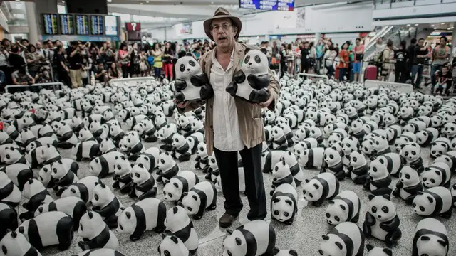 Ribuan Panda Mejeng di Bandara Hong Kong