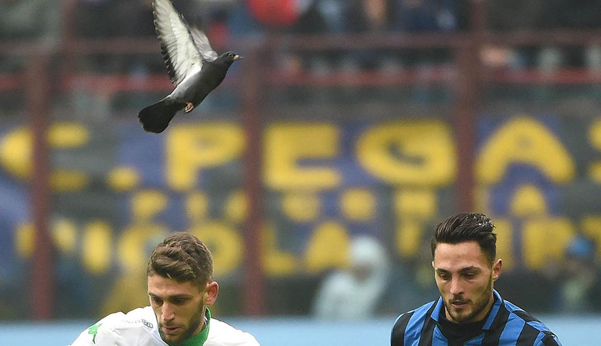 Seekor burung melintas saat laga Serie A antara Inter Milan melawan Sassuolo di Stadion Giuseppe Meazza, Minggu (10/1/2016). Sassuolo berhasil menang 1-0. (EPA/Daniel Dal Zennaro)