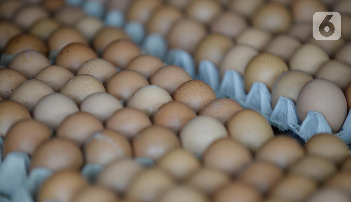 FOTO: Harga Telur Turun di Momen Libur Panjang - Bisnis ...