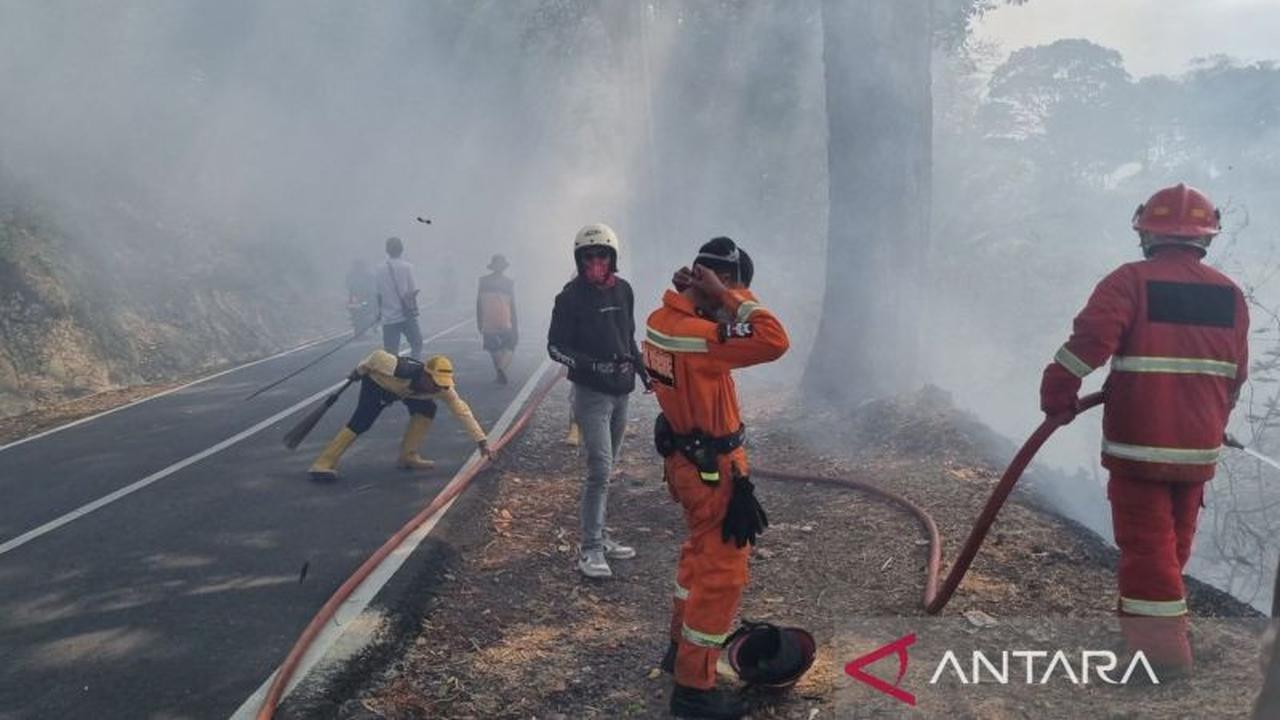 Lahan di Jalur Utama Selatan Cianjur Terbakar