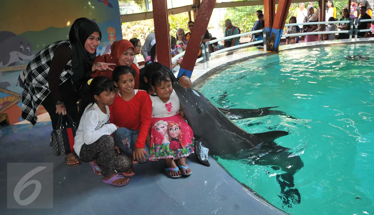 Pengunjung mendapat ciuman dari lumba-lumba saat Atraksi Dolphin Christmas Show di Ocean  Dream Samudera Ancol, Jakarta, Jumat (25/15/2015). Pertunjukan tersebut diadakan dalam rangka menyambut libur Natal. (Liputan6.com/Gempur M Surya)