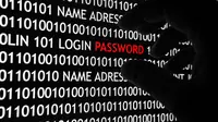 Hacker Jenius Yang Menggemparkan Dunia