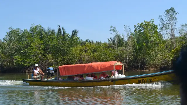 Sebuah perahu melintas di Laguna segara anakan Cilacap, Jawa Tengah. (Foto: Liputan6.com/Muhamad Ridlo)