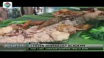 Nasi liwet, dulu makanan ini identik dengan bekal petani ke sawah. Tapi sekarang, nasi liwet tengah menjadi tren kuliner di Ibu Kota, lho!