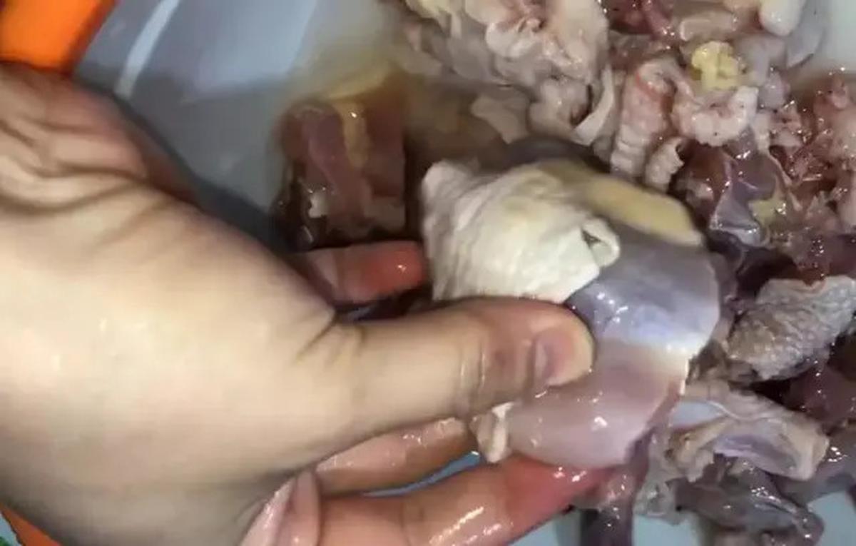 Cara Alami Mengempukkan Ayam Kampung Tanpa Presto dan Ungkep, Cukup Pakai Satu Daun Ini