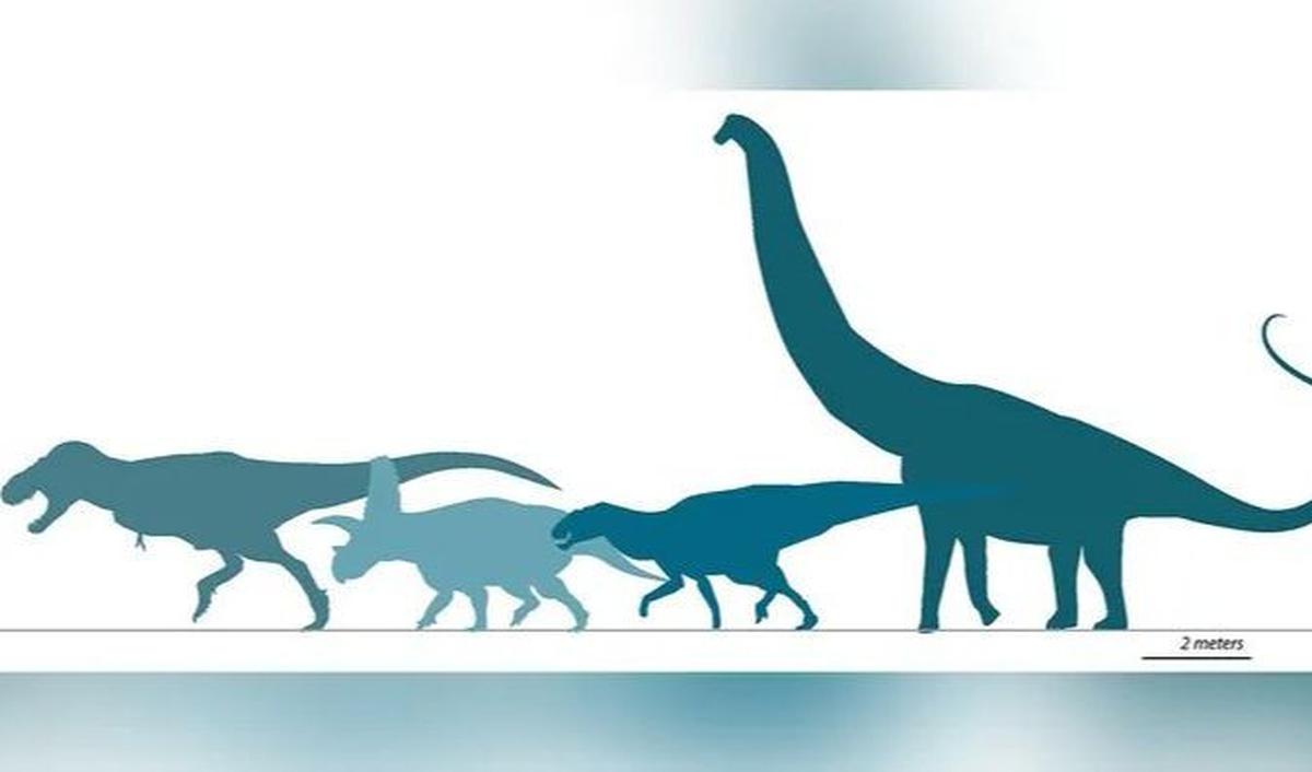 "Penelitian ini mewujudkan misi museum ini melalui penyelidikan berbasis sains terhadap sejarah kehidupan di planet kita," jelas Direktur Eksekutif NMMNHS, Dr Anthony Fiorillo, dikutip dari Fox News, Senin (15/1).
