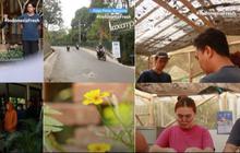 VIDEO: Cara Asyik Mengobati Stres Sambil Merawat Bumi di Bandung