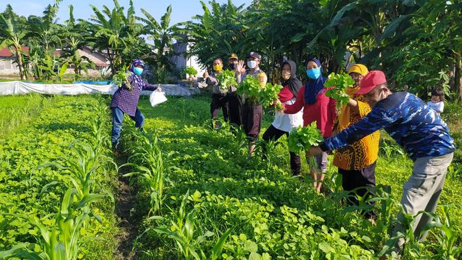 Terapi Bertani Menyehatkan Jiwa ala Puskesmas Kasihan II Bantul