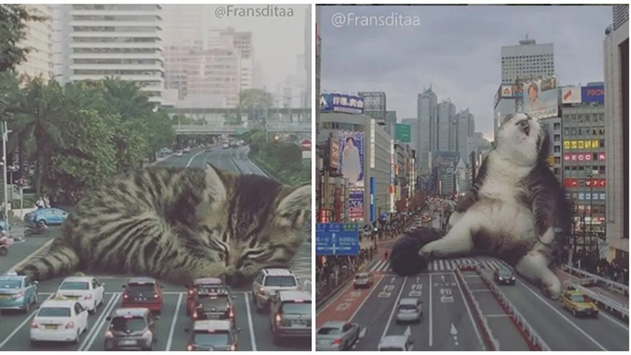 Editan Kucing Raksasa sedang Tidur di Tengah Jalan Ini Kocak Banget