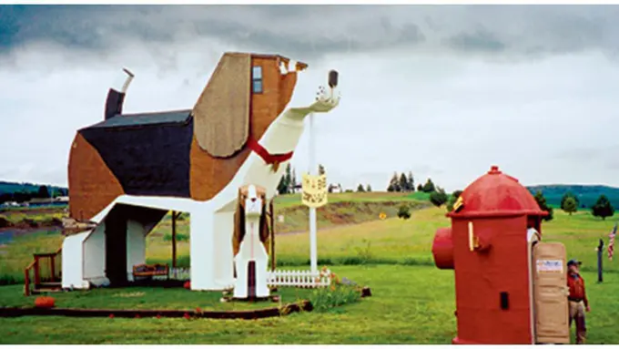 (c) wikipedia people