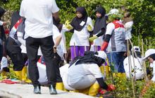 Tumbuhkan Cinta Lingkungan, Pertamina dan Siswa SD Tanam Puluhan Ribu Mangrove
