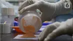 Tenaga farmasi menuangkan racikan obat ke kertas pembungkus di RSIA Tambak, Jakarta, Jumat (21/10/2022). Ikatan Dokter Anak Indonesia (IDAI) mengimbau agar dokter atau tenaga kesehatan (nakes) di fasilitas kesehatan mulai memberikan obat puyer pada pasien menyusul pemerintah yang menyetop penjualan atau pemberian resep obat sirup. (Liputan6.com/Herman Zakharia)