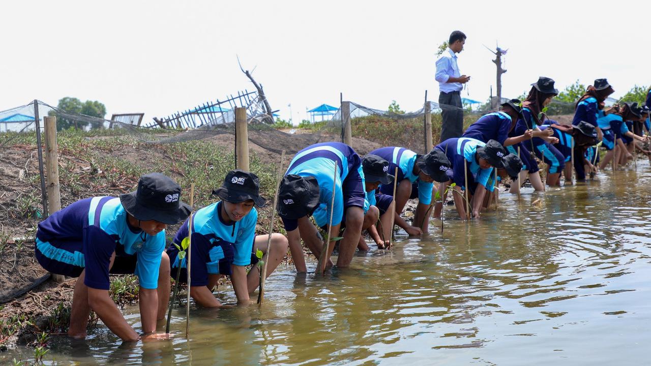 BRI Ajak Generasi Muda Jaga Ekosistem Lingkungan Melalui Penanaman Mangrove dan Pengelolaan Limbah Plastik