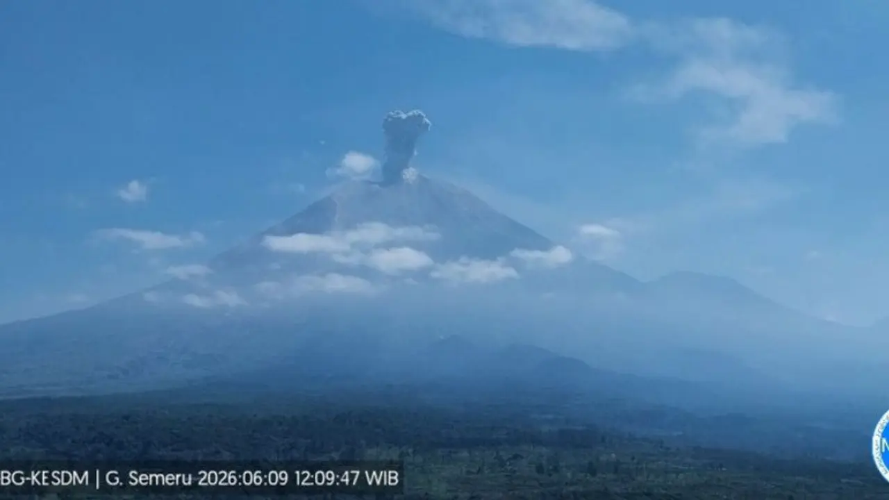 Gunung Semeru erupsi dengan tinggi letusan mencapai 1,2 km di atas puncak pada Selasa (9/6/2026) siang.
