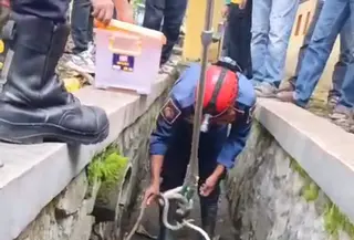 Ular sanca gegerkan warga Sukabumi. (Liputan6.com/Fira Syahrin)