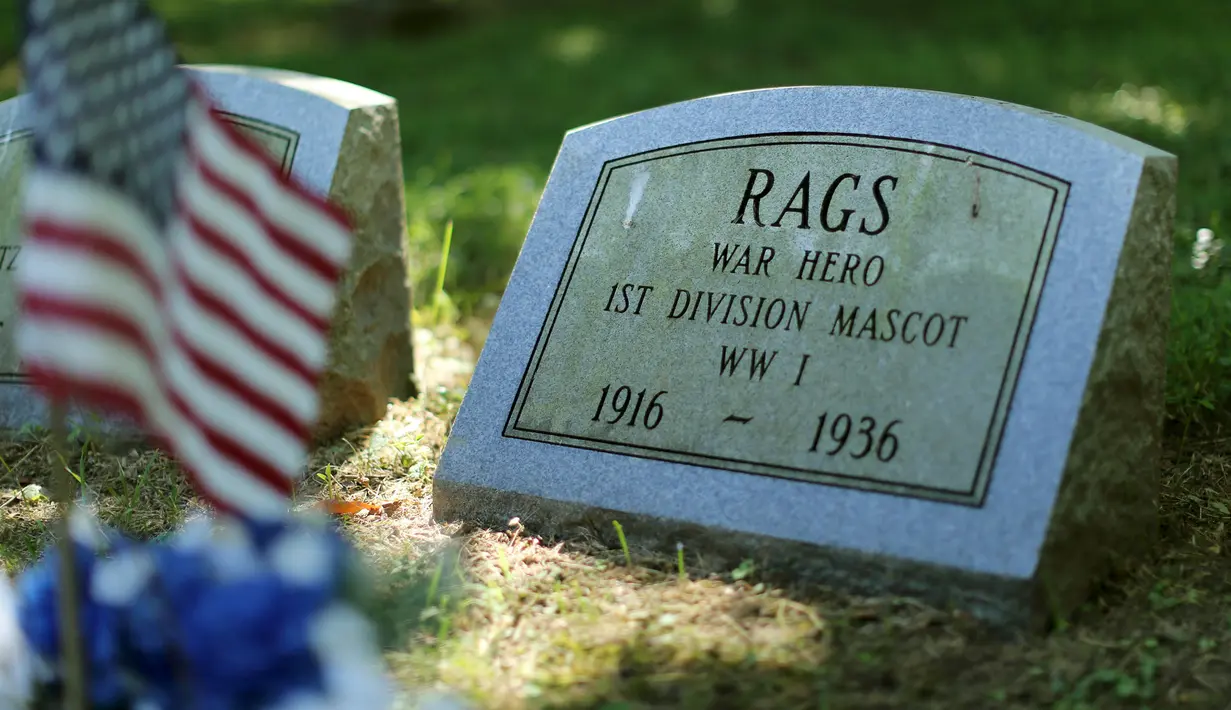 Nisan untuk "Rags", anjing maskot Perang Dunia I Divisi 1 Angkatan Darat terlihat di Memorial Park di Aspen Hill, Maryland, 25 Agustus 2015. Didirikan sejak tahun 1921, lebih dari 50.000 hewan dimakamkan di tempat ini. (REUTERS/Gary Cameron)