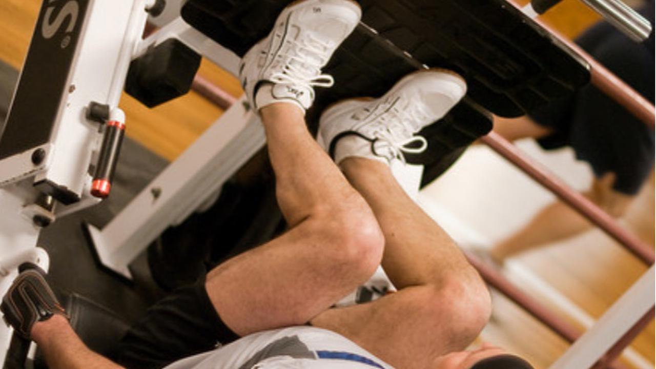 leg press
