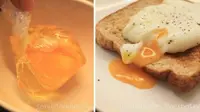 Cukupi Kebutuhan Vitamin E dengan Telur 