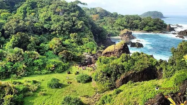 Gunung Honje merupakan bagian dari Taman Nasional Ujung Kulon