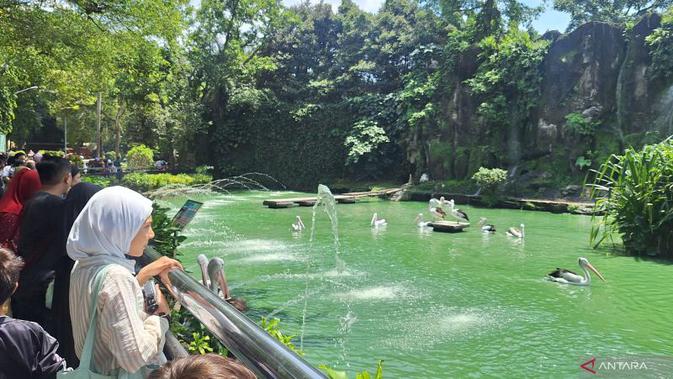 Catat Jam Operasional Ragunan Selama Libur Natal dan Tahun Baru, Dibuka Satu Jam Lebih Awal