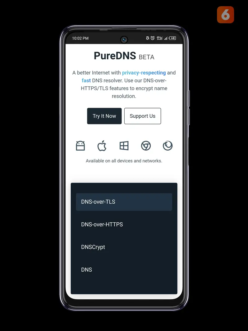 PureDNS adalah layanan Secure DNS buatan pengembang indie lokal