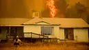 Petugas pemadam kebakaran saat berada di dekat kobaran api besar di belakang sebuah rumah di dekat Mariposa, California, (19/7). Kebakaran ini telah menghancurkan setidaknya delapan bangunan. (AP Photo/Noah Berger)