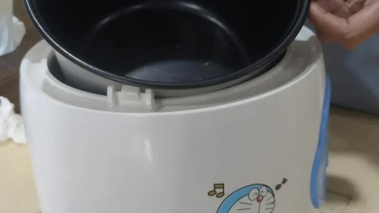 Program ini bertujuan untuk meningkatkan penggunaan energi bersih yang sekaligus mengurangi impor gas LPG di tingkat masyarakat.<br>