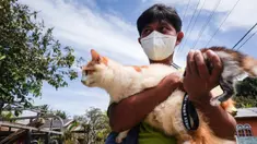 Seorang relawan menyelamatkan kucing dari sebuah rumah yang ditinggalkan saat penduduk dievakuasi setelah letusan gunung berapi Gunung Ruang di Pulau Tagulandang di Sitaro, Sulawesi Utara pada tanggal 4 Mei 2024. (Ronny Adolof BUOL/AFP)