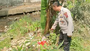 Bayi Terbungkus Plastik Ditemukan di Bawah Jembatan