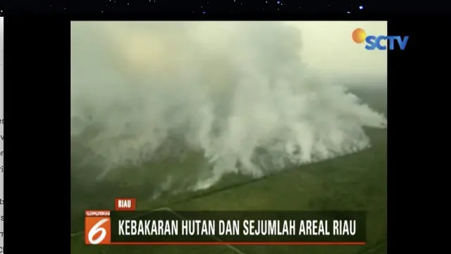 Hutan di Provinsi Riau kembali kebakaran, Gubernur Riau Wan Thamrin Hasyim tetapkan siaga bencana.