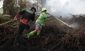 Petugas pemadam kebakaran menyemprotkan air untuk memadamkan api yang melalap lahan gambut di Kubu Raya, Kalimantan Barat, Indonesia, Selasa, 11 Agustus 2026. (Foto AP/Stefanus Taman)