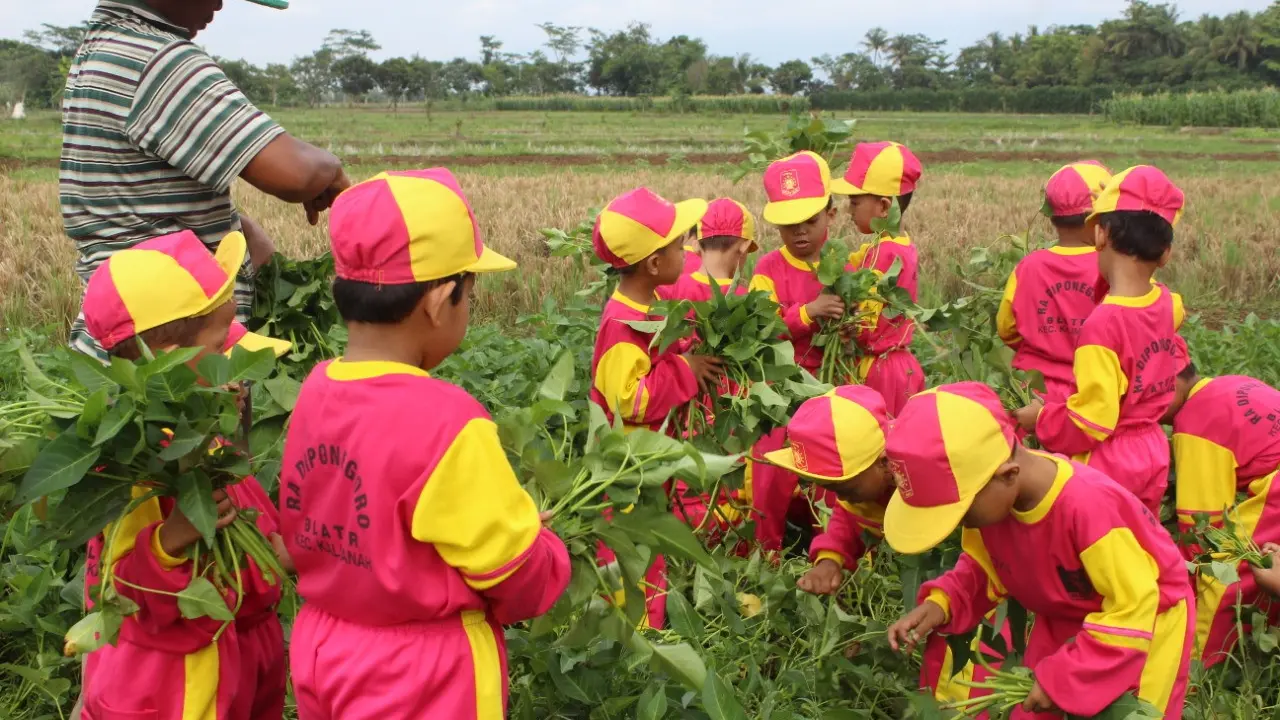 Anak-anak pengunjung eduwisata Toyareja memetik kangkung di ladang, beberapa waktu lalu. (Foto: Liputan6.com/Rudal Afgani)