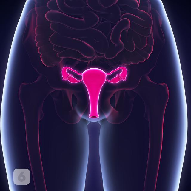 Seputar Vaginoplasty Pengencangan Vagina Dari Prosedur Sampai Komplikasi Health Liputan6 Com